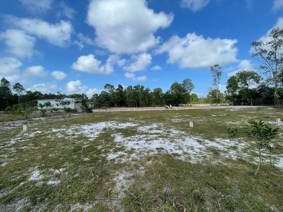 Đất nền Phú Đa, 125m² chỉ 299 triệu - Tiềm năng tăng giá cực lớn!