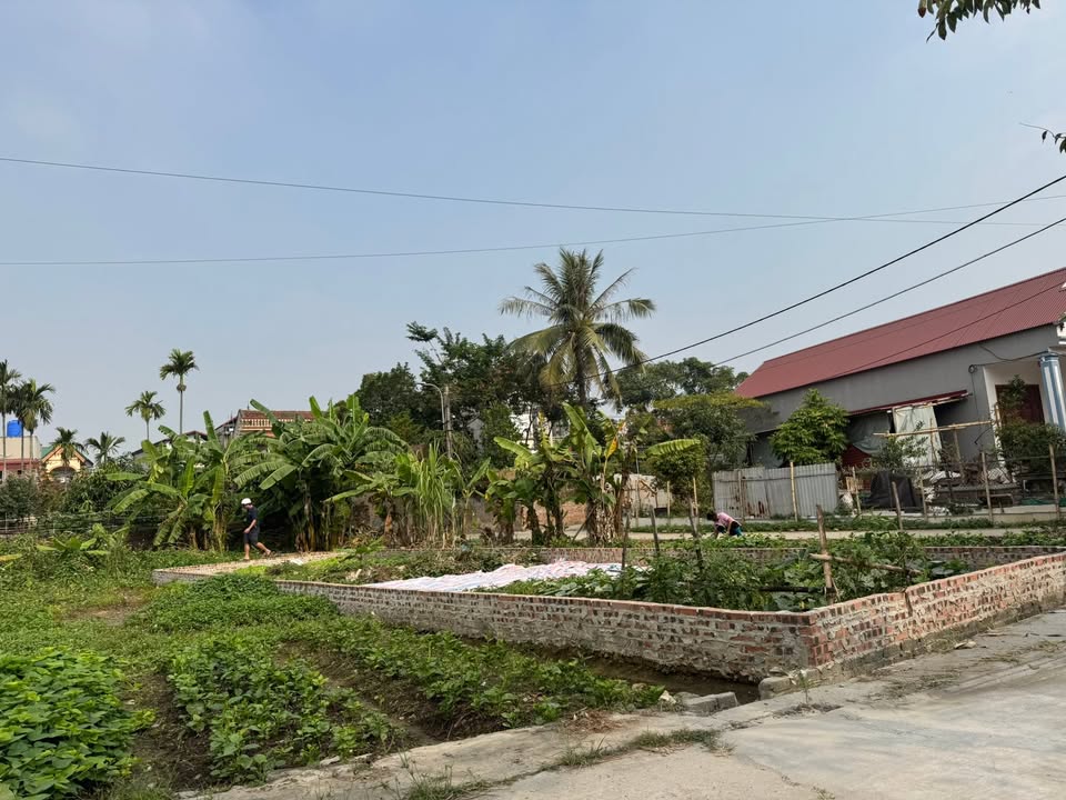 Đất Nền Lương Tài, Bắc Ninh 86.5m² - Sổ Hồng Chính Chủ, Giá 2 Tỷ