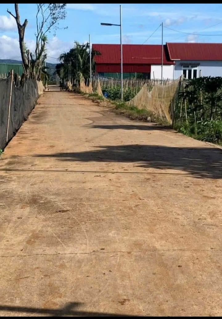 Đất nền Thị trấn Liên Nghĩa, Đức Trọng 112m² - Sổ đỏ chính chủ!