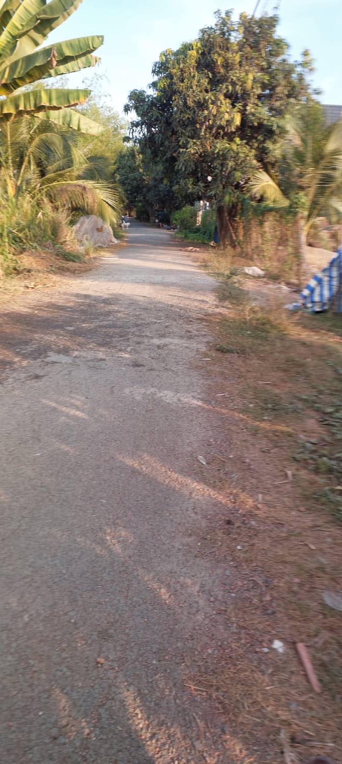 Đất nền Xã Tân Thạnh, Thanh Bình 125m² - Pháp lý rõ ràng