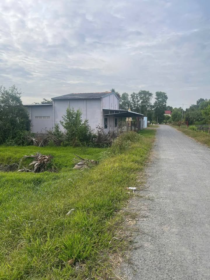 Đất nền Châu Thành 8742m² – Tiềm năng tăng giá vượt trội!