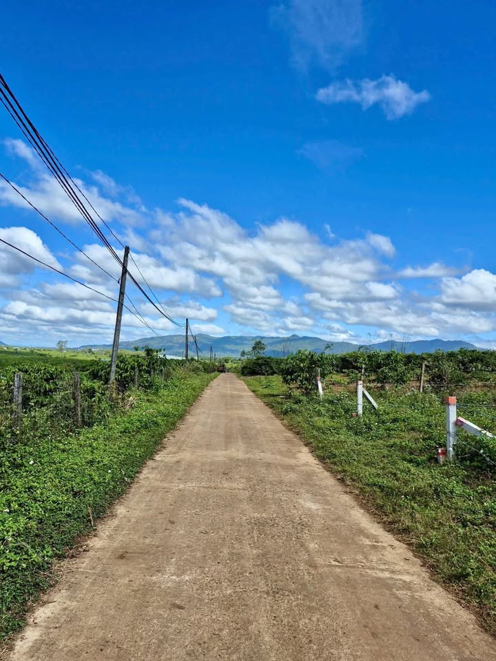 Đất nền Glar Đăk Đoa 190m² giá hơn 200 triệu - Sổ đỏ chính chủ