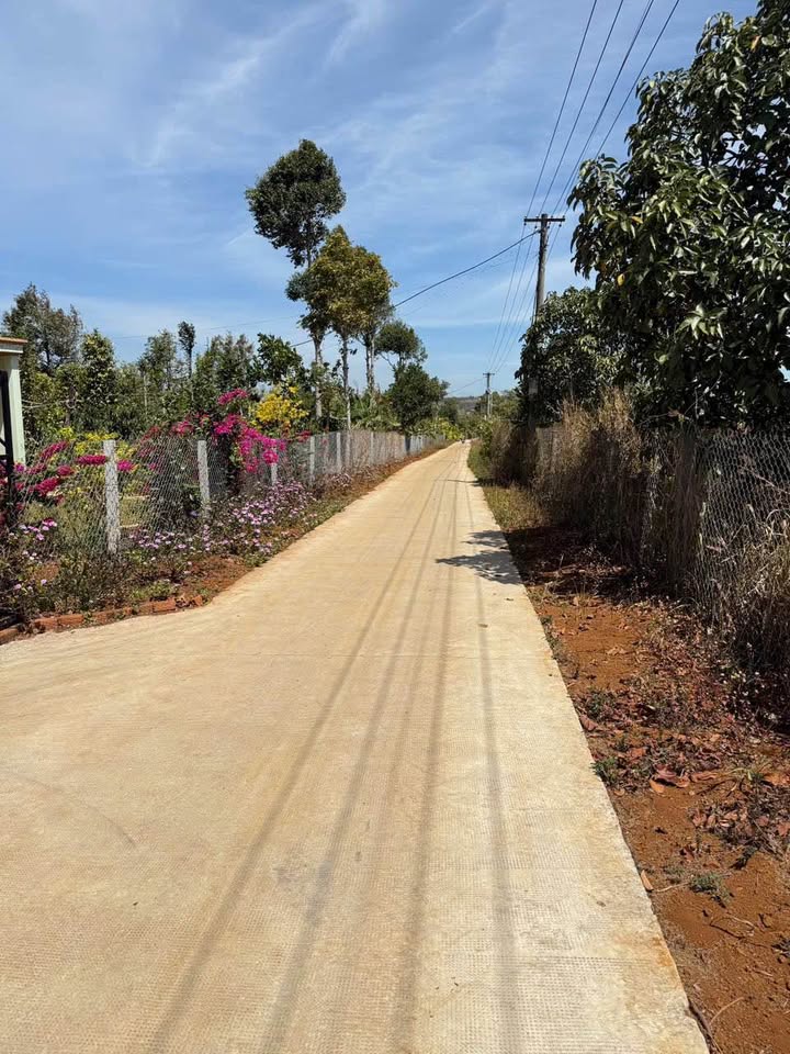 Đất nền Đak Rmoan, Buôn Hồ 540m² 620 triệu - Sổ đỏ chính chủ!