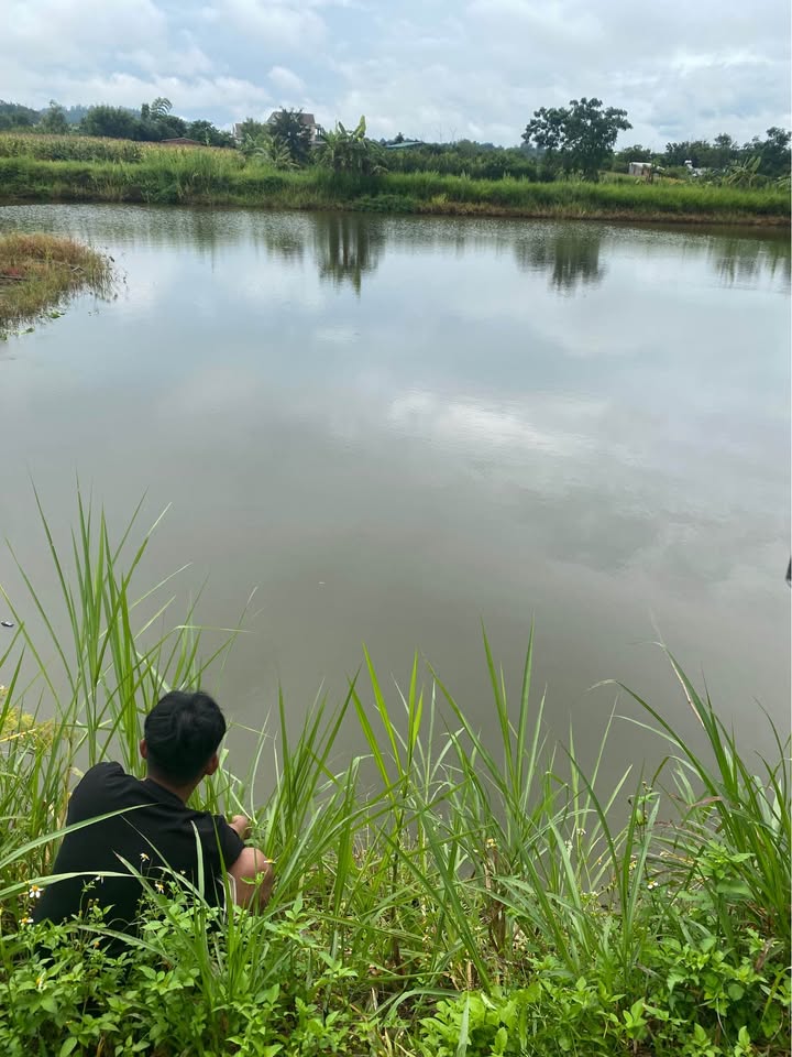 Cho thuê Đất Vườn 10.000m² tại Krông Pắc, Đắk Lắk - Sẵn Sàng Khai Thác 18 Năm