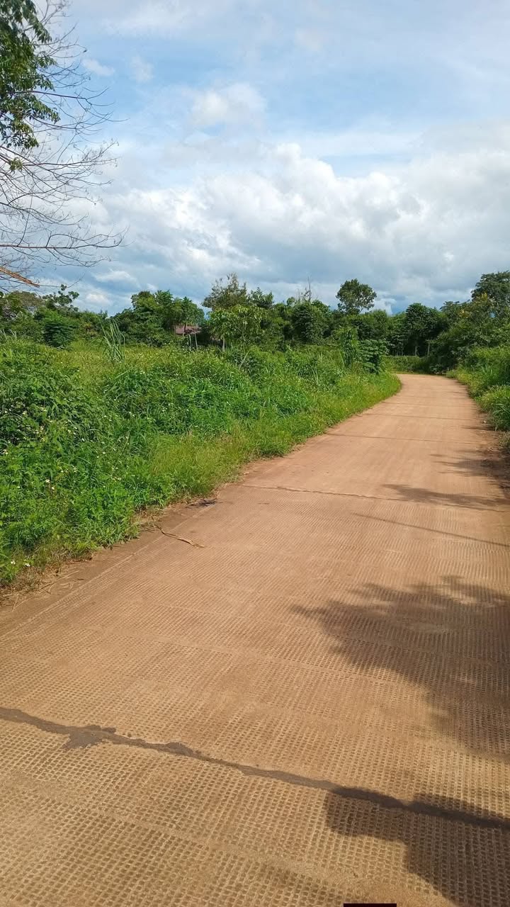 Bán Đất Vườn Đẹp Ea Hu, Cư Kuin - 500m²/Lô - Sẵn Sổ Đỏ