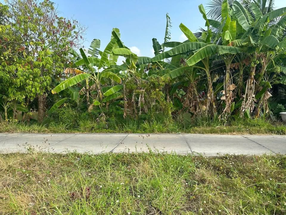 Đất nền Gò Công Đông 656m² - Sổ đỏ 200m² thổ cư, view kênh mát mẻ