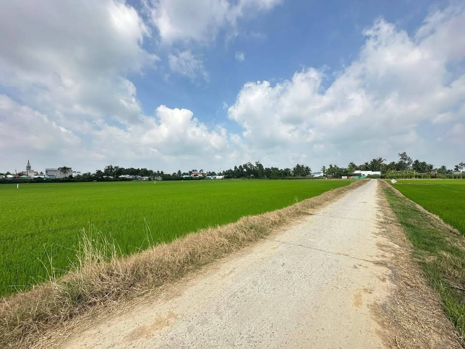 Đất nền Long Bình 1000m² - Tiềm năng tăng giá, chỉ 650 triệu!