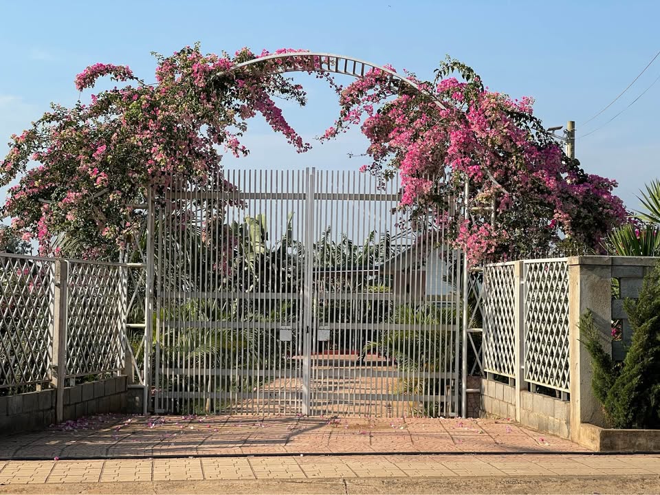 Đất Nhà Vườn Đức Trọng 600m² giá 5.4 tỷ - Nghỉ dưỡng lý tưởng!