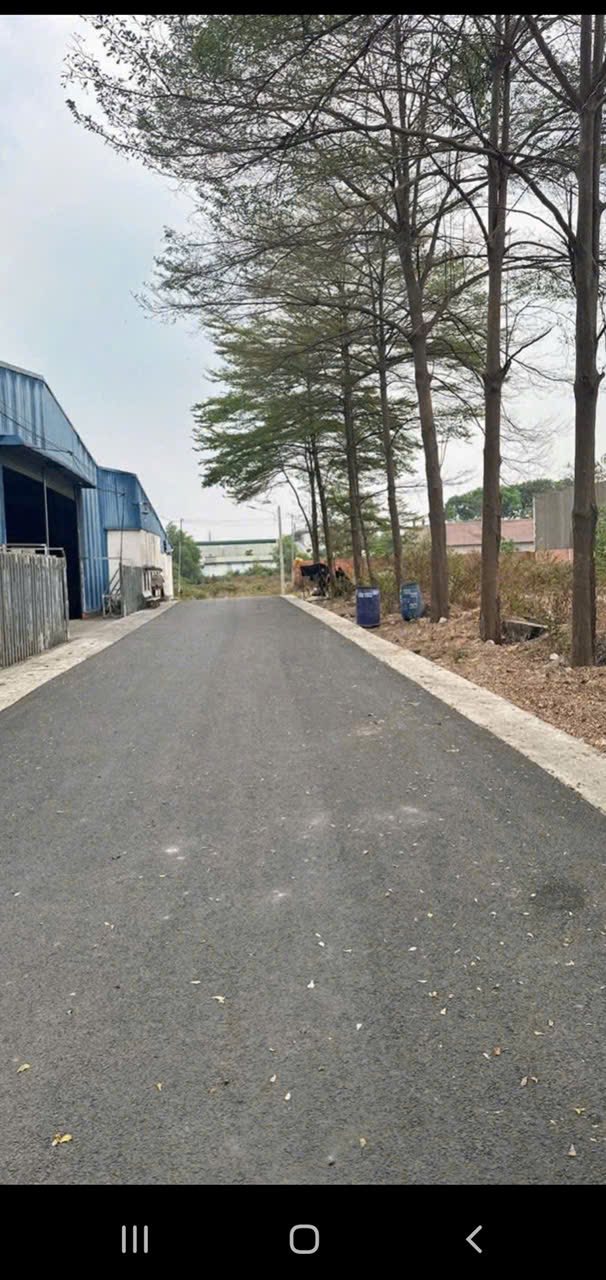 Bán Gấp 10 Nền Đất Tân Uyên 122m² - Sổ TC Giá 1.85 Tỷ