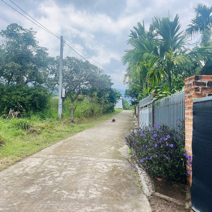 Đất nền Krông Bông 238m² - Full thổ cư, sổ đỏ chính chủ!