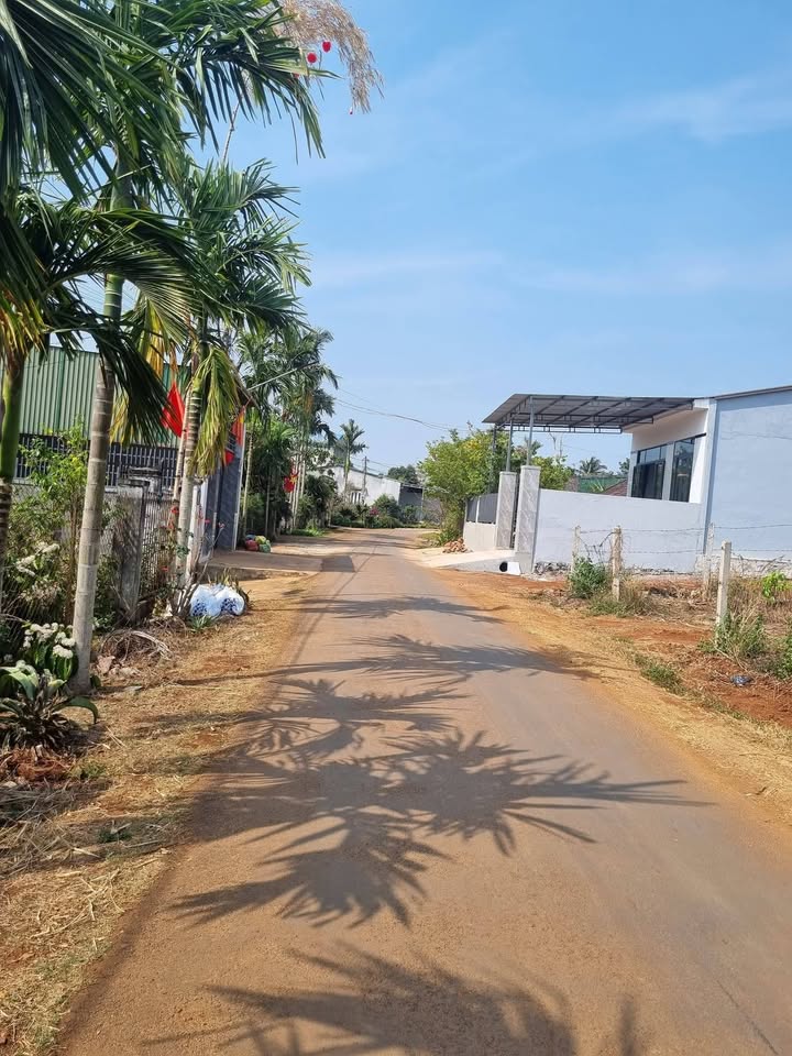 Đất nền Hòa Xuân, Krông Bông 1000m² - Sổ đỏ chính chủ, bán lẻ!