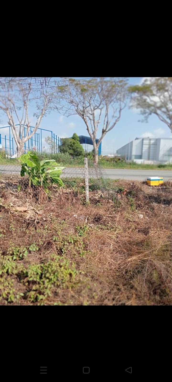 Đất nền Lấp Vò Đồng Tháp 216m² - Sổ đỏ sẵn, giá đầu tư