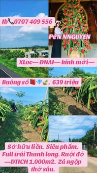 Đất Vườn 1000m² Xuân Lộc - Vườn Thanh Long Trĩu Quả, Giá Sốc 639 Triệu