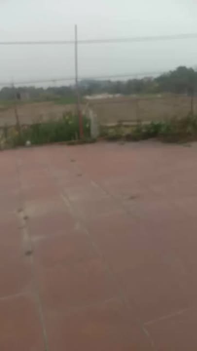 Nhà Vườn 500m² Đồng Bùi, Bắc Giang - Giá Thỏa Thuận, Sẵn Sàng Ở Ngay