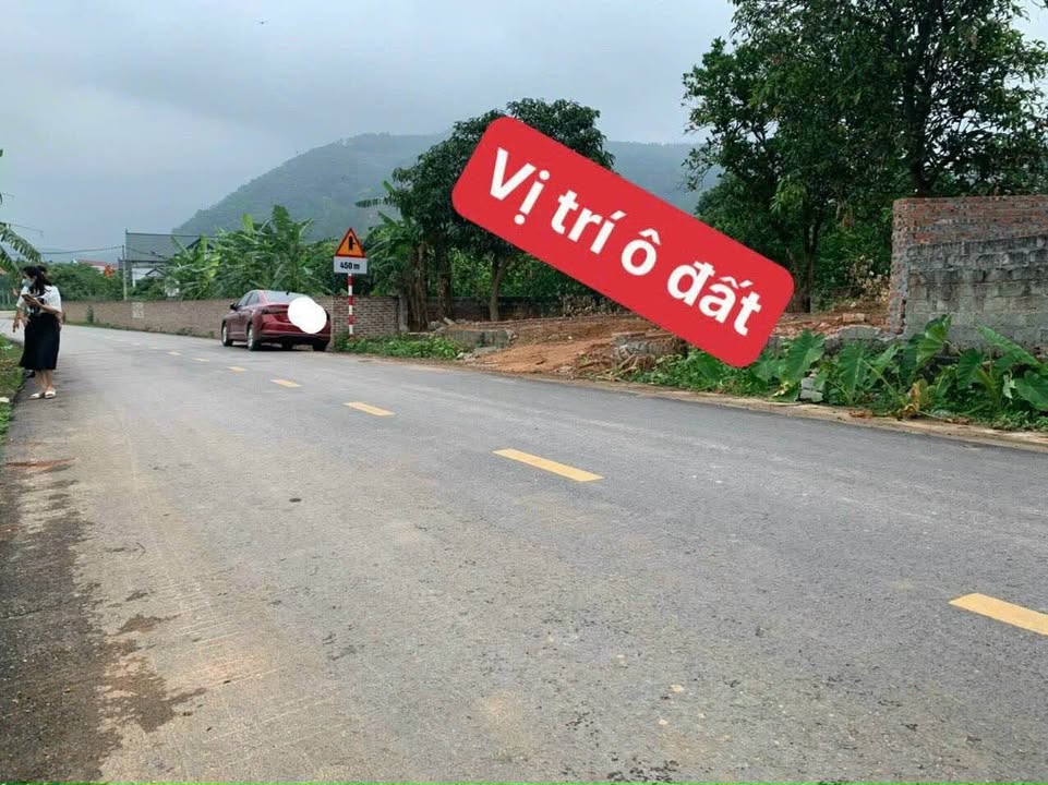 Đất nền Bình Xuyên Vĩnh Phúc 91m² giá 1.7 tỷ - Vị trí đẹp kinh doanh ngay!