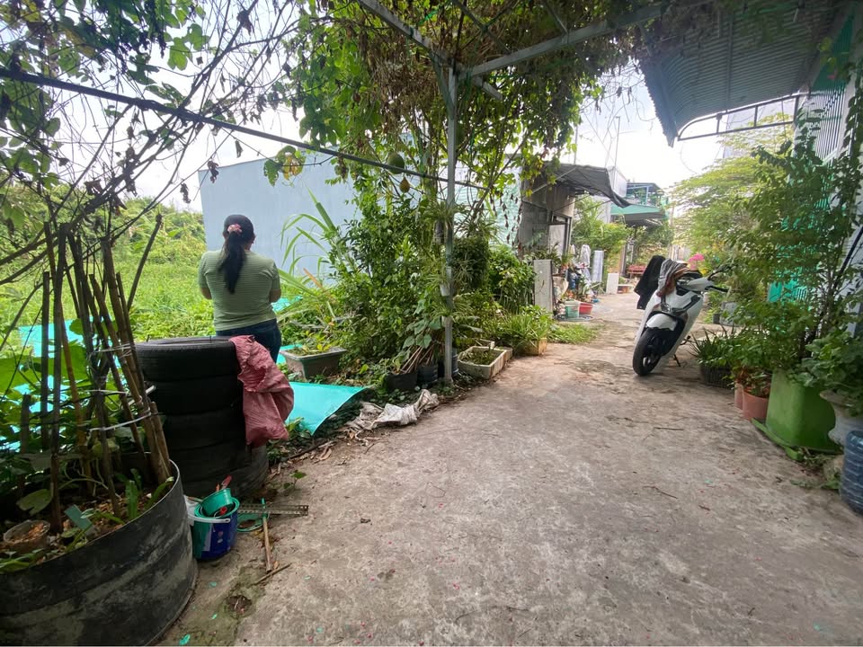 Đất vườn An Bình, Ninh Kiều 135m² - Sổ đỏ chính chủ, tiềm năng tăng giá!