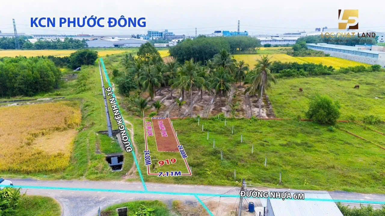 Đất nền Gò Dầu 167m² 700 triệu - Sổ đỏ chính chủ, công chứng ngay!