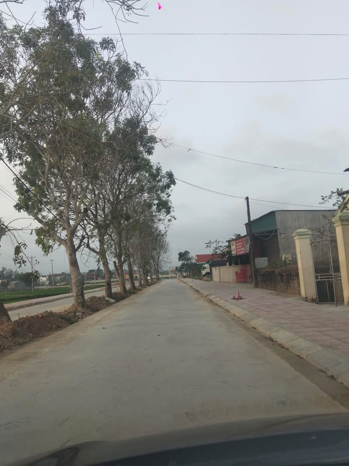 Đất nền Phúc Thành, Yên Thành 140m² - Đường to ô tô