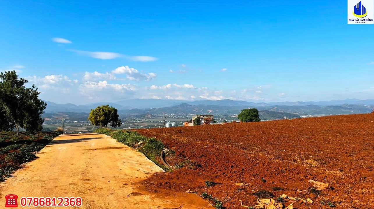 Đất nền Phú Hội Đức Trọng 18.000m² 7.2 tỷ - Hạ tầng hoàn thiện