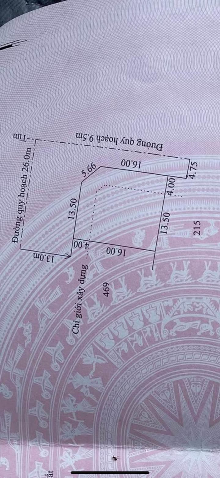 Đất nền Lê Tự Đồng, Thủy Vân 342m² - Tiềm năng tăng giá vượt trội!