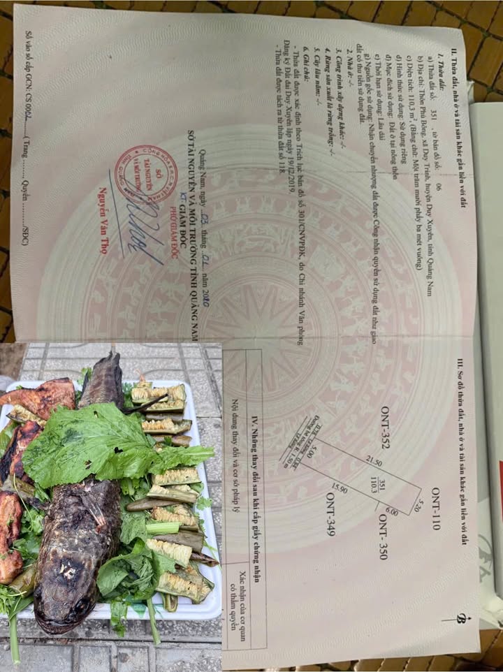 Đất Nền Duy Xuyên - 105m² Giá Chỉ 3xx Triệu - Sổ Đỏ Sẵn Sàng