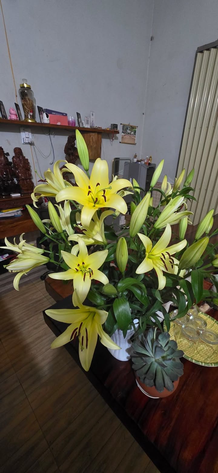 Đất nền Glar Đăk Đoa 180m² - Tiềm năng tăng giá vượt trội!