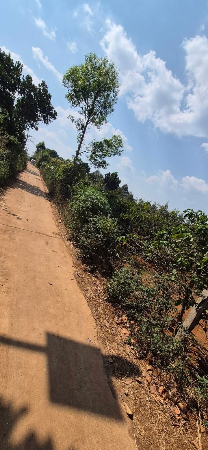 Đất nền Pleiku 150m² - Đường to ô tô, giá từ 5xx triệu!