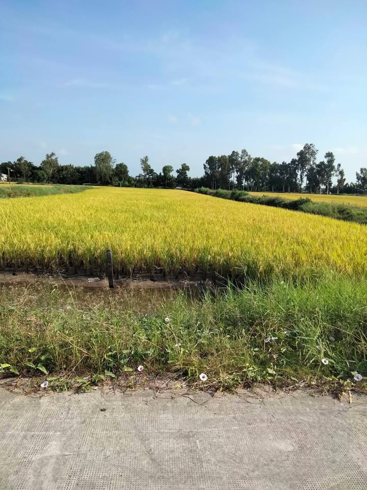 Đất nền Phú Quốc 3570m² - Sổ đỏ chính chủ!