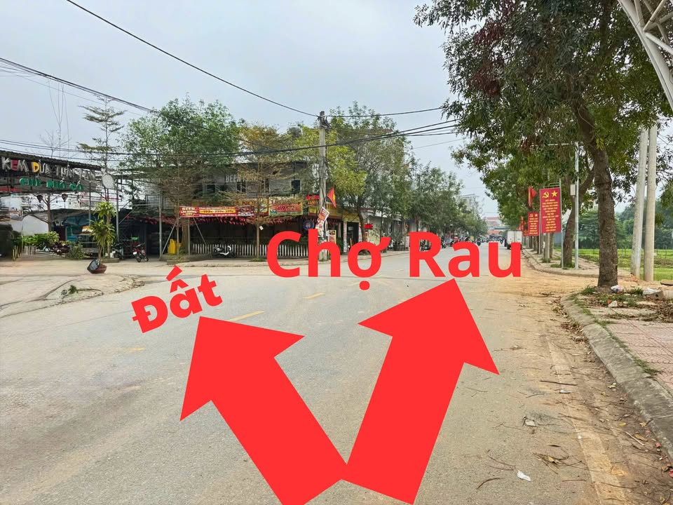 Đất Nền Lô Góc Liên Châu, Vĩnh Phúc - 198.5m² Sổ Đỏ, Giá Tốt