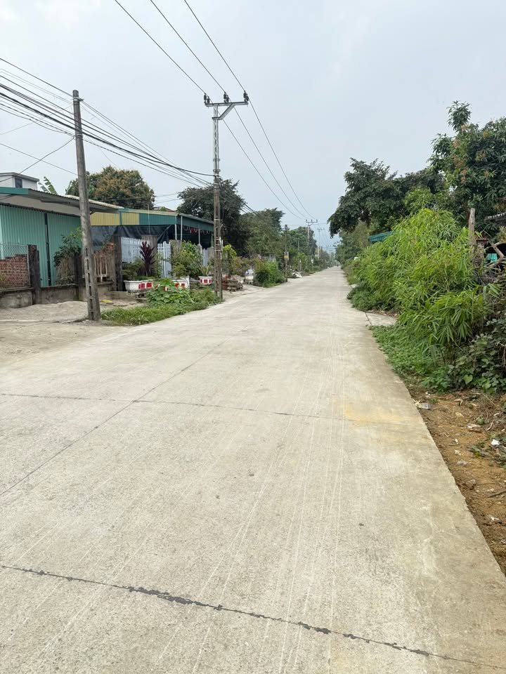 Đất Nền Nho Quan 300m² - Sổ Đỏ Rõ Ràng, Tiềm Năng Sinh Lời Cao