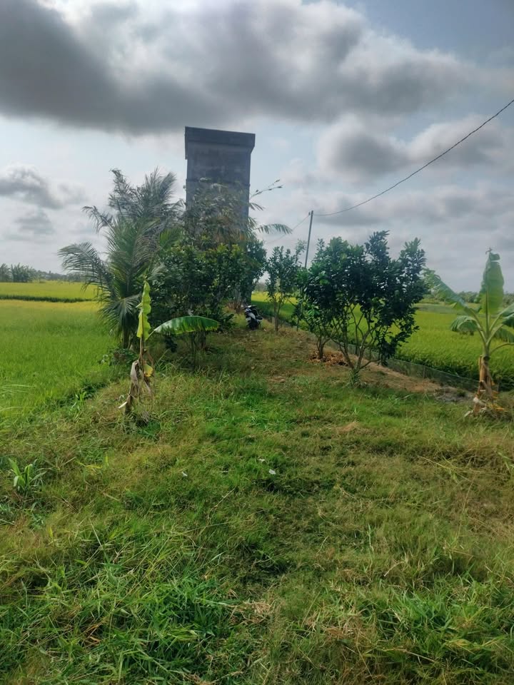 Đất nền An Bình Tây, Ba Tri 900m² - Đầu tư sinh lời, có nhà yến!