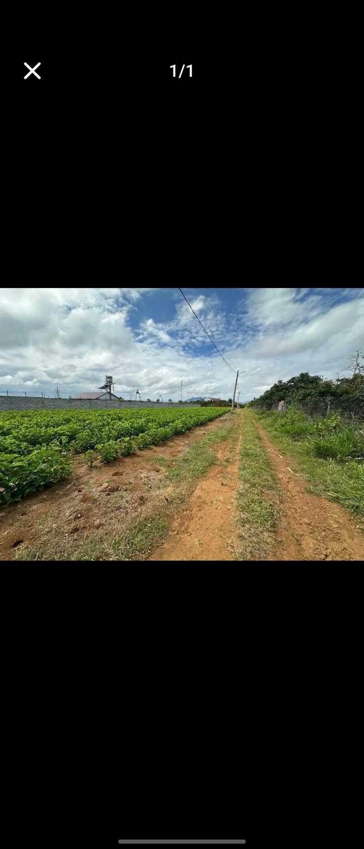 Đất Nền 216m² Hẻm Lý Thường Kiệt, Bảo Lộc - Sẵn Sổ Hồng, Giá 1.2 Tỷ