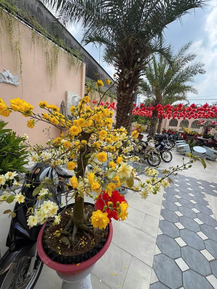 Đất Nền Biên Hòa 100m² Sổ Hồng Chính Chủ - Gần BV 7B