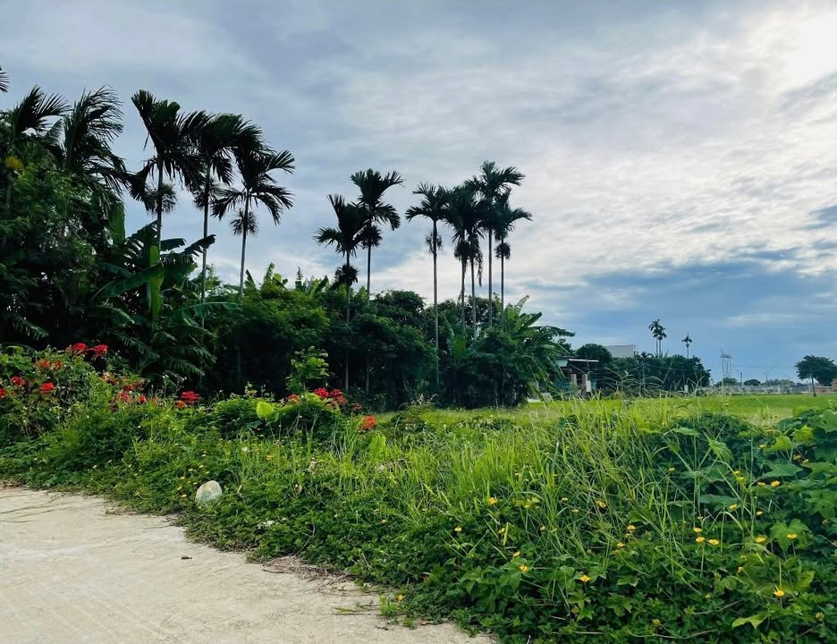 Đất nền Điện Hồng Quảng Nam 125m² - View đồng mát mẻ, giá chỉ 499 triệu