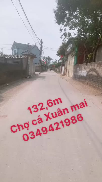 Bán Đất Chính Chủ Xã Xuân Mai 132.5m² - Đường 8m, Sổ Đỏ Nét Căng