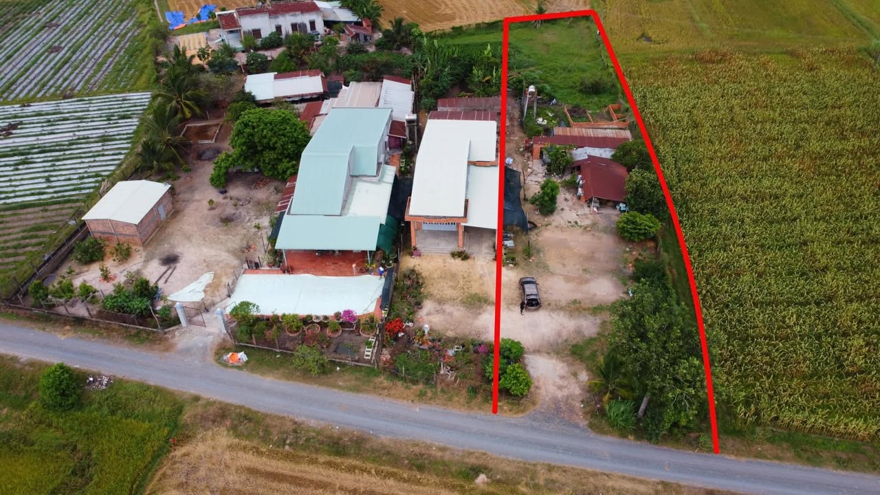 Bán Đất Vườn Mặt Tiền 1156m² Xã Hưng Thuận, Trảng Bàng - Giá Hơn 1 Tỷ