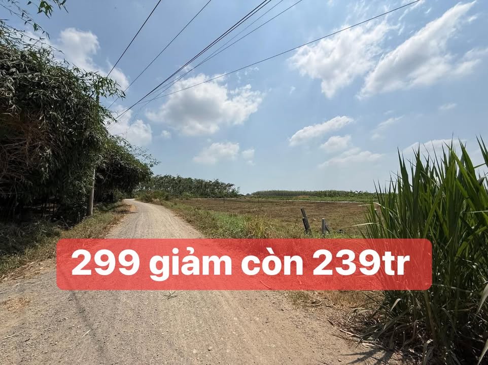 Đất nền Phước Bình, Tây Ninh 135m² giá 239 triệu - Đất thổ cư 100%