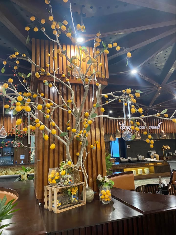 Đất nền Phường Ba Đình Bỉm Sơn 350m² giá 6 tỷ - Sổ đỏ chính chủ!