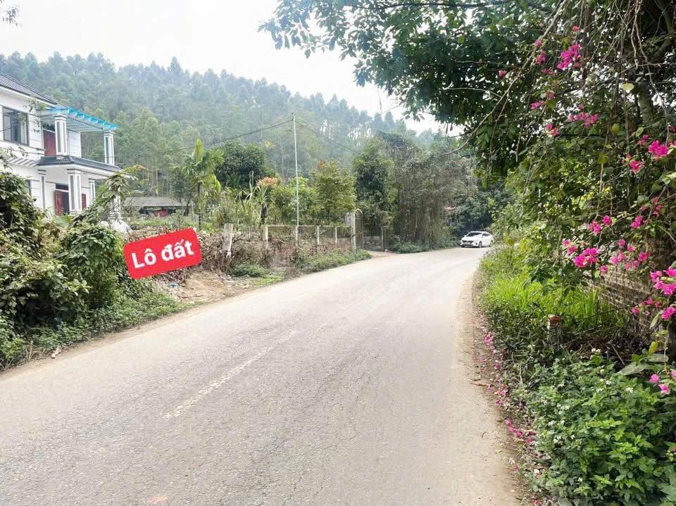 Đất Nền 150m² View Hồ Vân Trục, Lập Thạch - Đầu Tư Sinh Lời