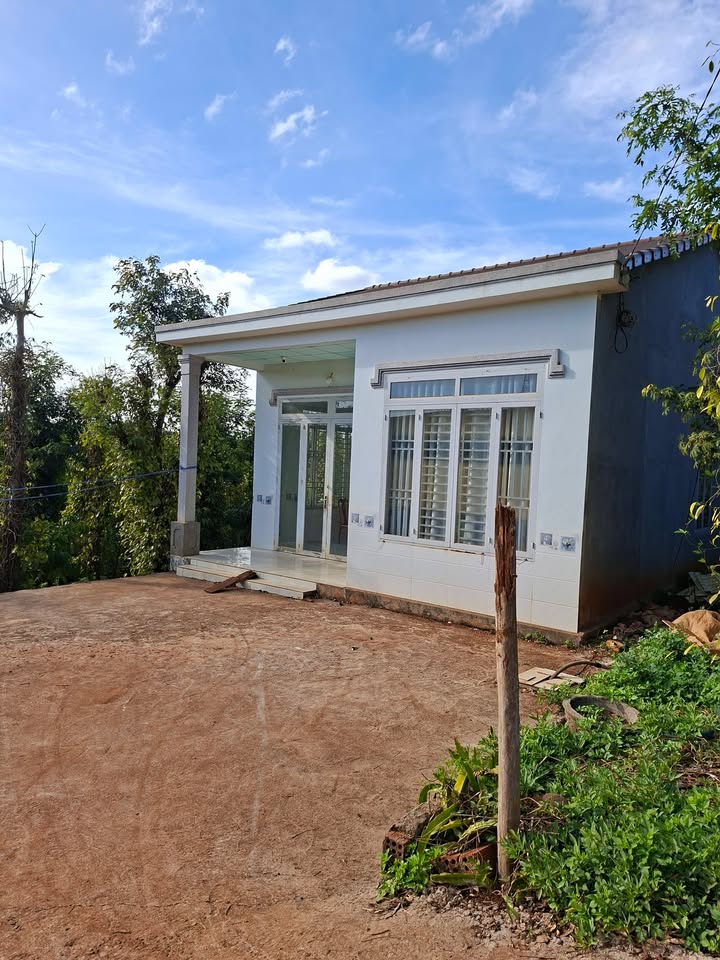 Farm Đức Minh Đắk Mil 4.5 tỷ - Đường to ô tô