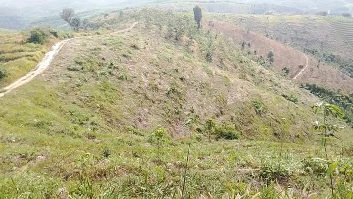 Đất nền Nam Nung 2ha, giá 500 triệu - Tiềm năng sinh lời!