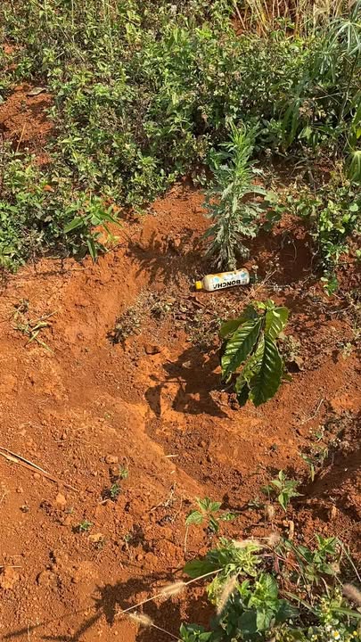 Đất Nền Đăk Na Krông Nô 1.6ha - Tiềm năng tăng giá, sở hữu ngay!