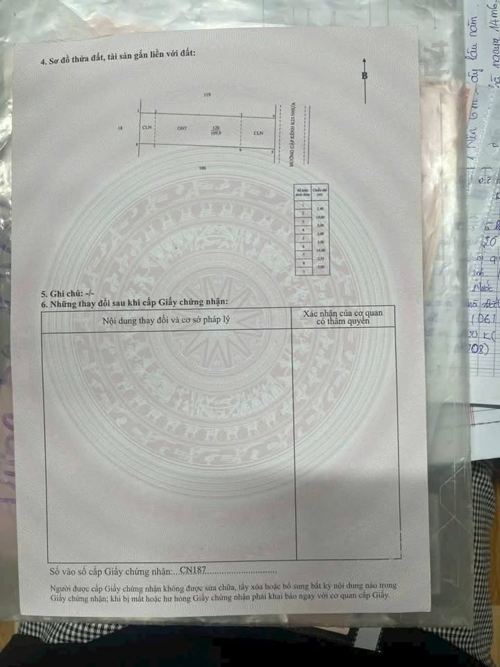 Đất nền Gò Công Tây 110m² Sổ hồng riêng - Giá chỉ 550 triệu, thương lượng!