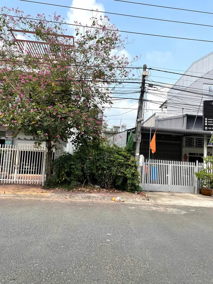 Đất nền Bình Đức, Long Xuyên 74.3m² - Sổ đỏ chính chủ, đối diện công viên!