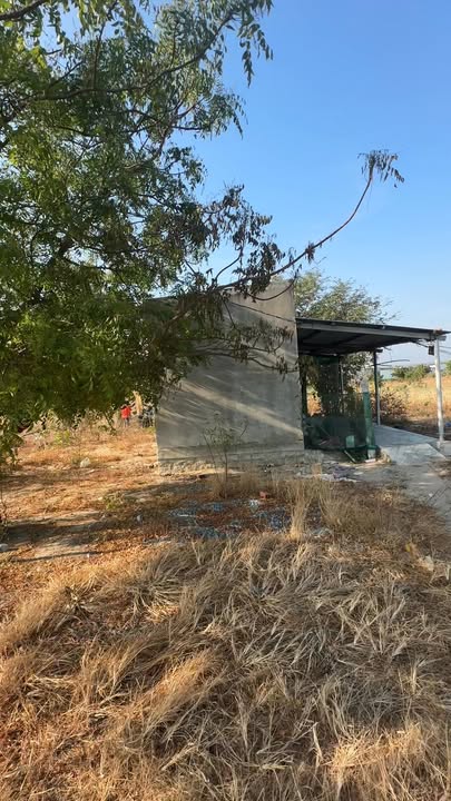 Cho thuê đất 5000m² mặt tiền đường lớn, Xã An Hải, Ninh Thuận - Sẵn sàng kinh doanh