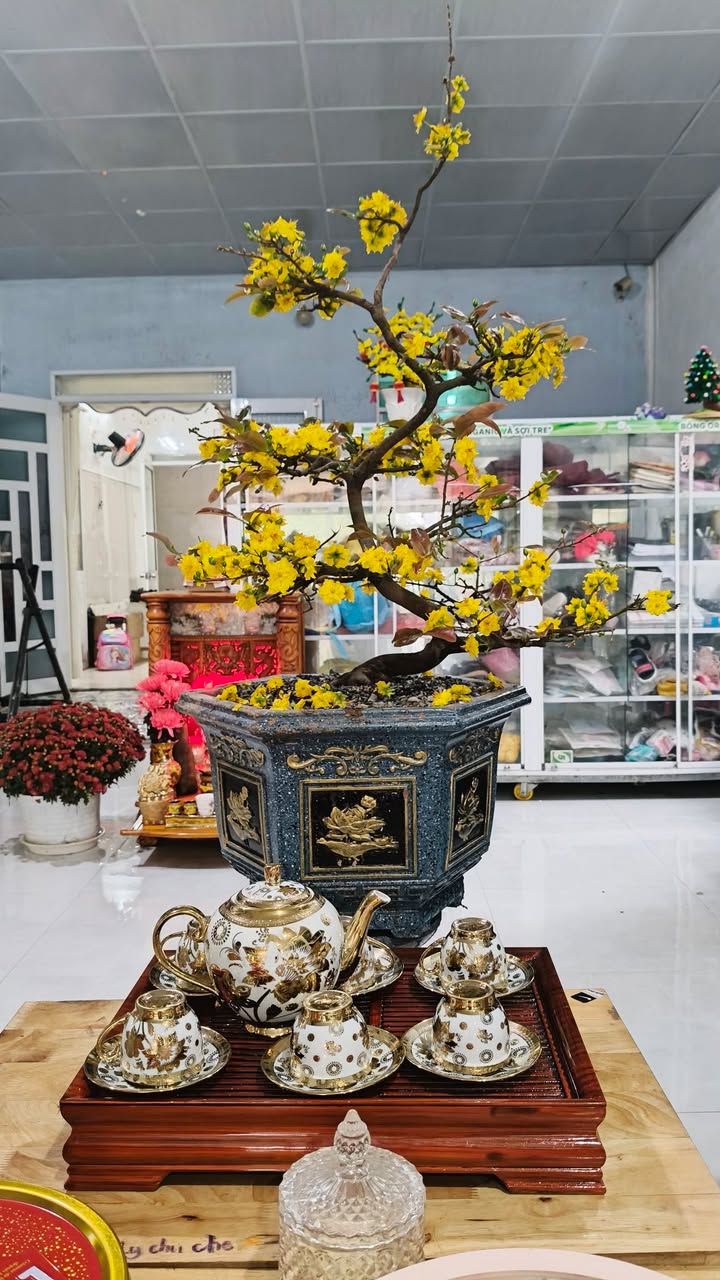 Đất nền Đồng Dinh Nghĩa Chánh 100m² giá 1 tỷ - View công viên đẹp!