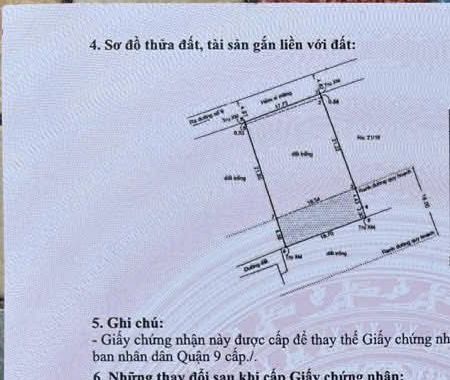 Đất Nền Long Trường Q9 - 524.8m² Sổ Đỏ, Xây Tự Do, Giá 16.5 Tỷ