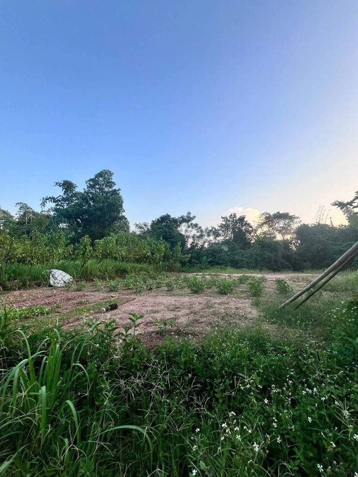 Đất nền Yên Bình 184m² - Sổ đỏ chính chủ, tiềm năng sinh lời!