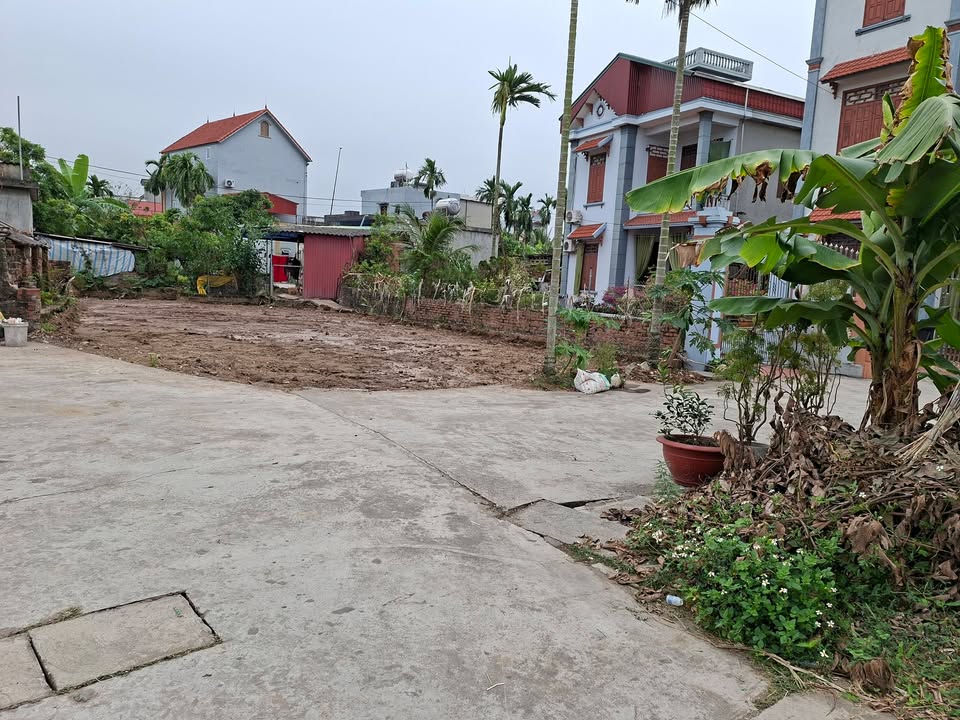 Đất nền Đại Sơn Tứ Kỳ 188m² - Đường ô tô tránh nhau, hơn 1 tỷ