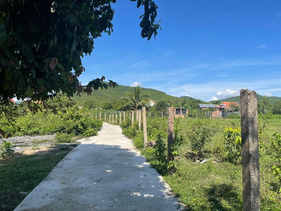 Đất nền Ninh Hưng, Ninh Hòa 4100m² – Đất thổ cư 100%, pháp lý rõ ràng!